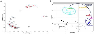 Current advances for in vitro protein digestibility